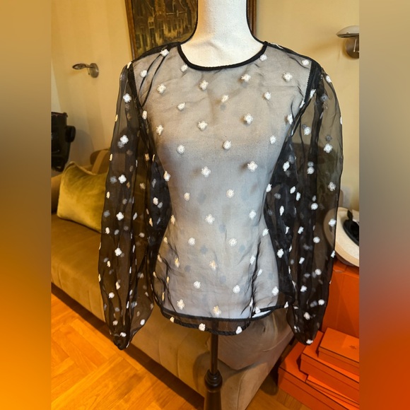 Zara women’s organza blouse blouson sz XL. New with tag - Picture 1 of 16